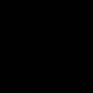 Meet your Posher, Ansar